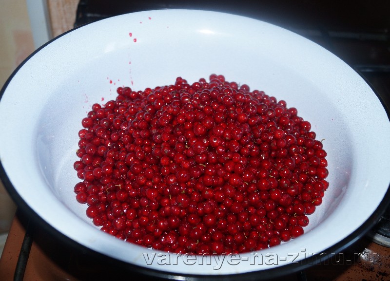 Быстрое желе из красной смородины: фото 4 Быстрое желе из красной смородины: фото 4