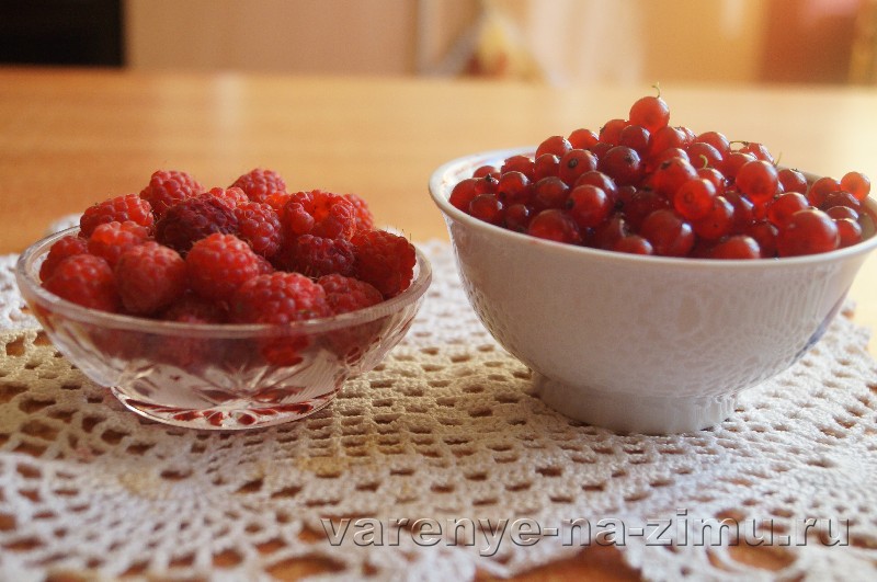 Желе из красной смородины и малины: фото 1 Желе из красной смородины и малины: фото 1