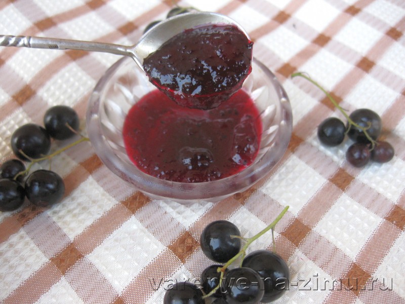 Желе из чёрной смородины без варки (4 рецепта)